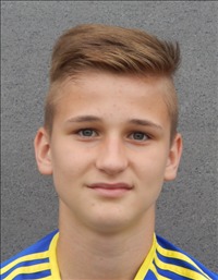 Bršlica A