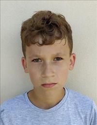 kotík